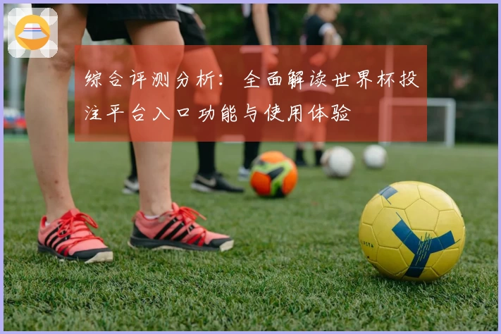 综合评测分析：全面解读世界杯投注平台入口功能与使用体验