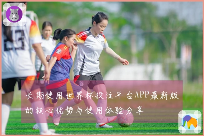 长期使用世界杯投注平台APP最新版的核心优势与使用体验分享