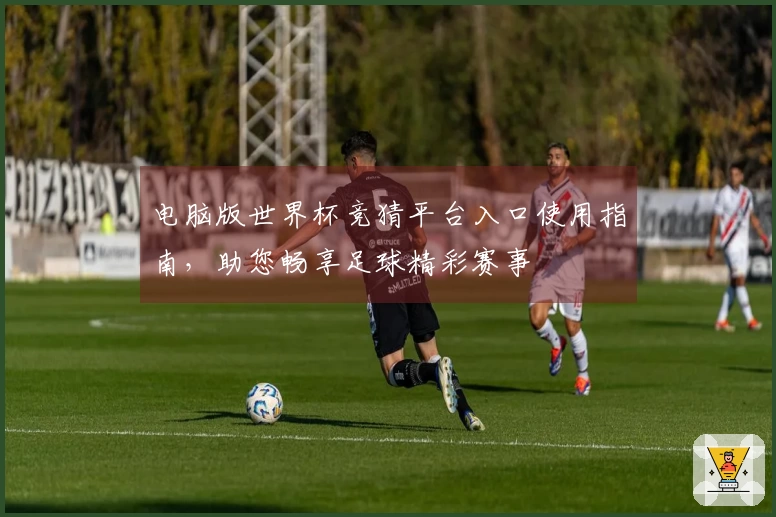 电脑版世界杯竞猜平台入口使用指南，助您畅享足球精彩赛事