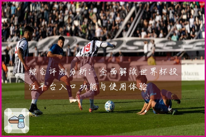 综合评测分析：全面解读世界杯投注平台入口功能与使用体验