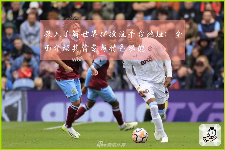 深入了解世界杯投注平台地址：全面介绍其背景与特色功能