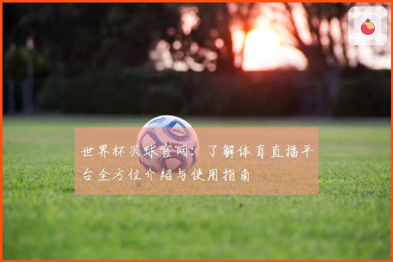 世界杯买球官网：了解体育直播平台全方位介绍与使用指南