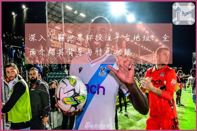 深入了解世界杯投注平台地址:全面介绍其背景与特色功能