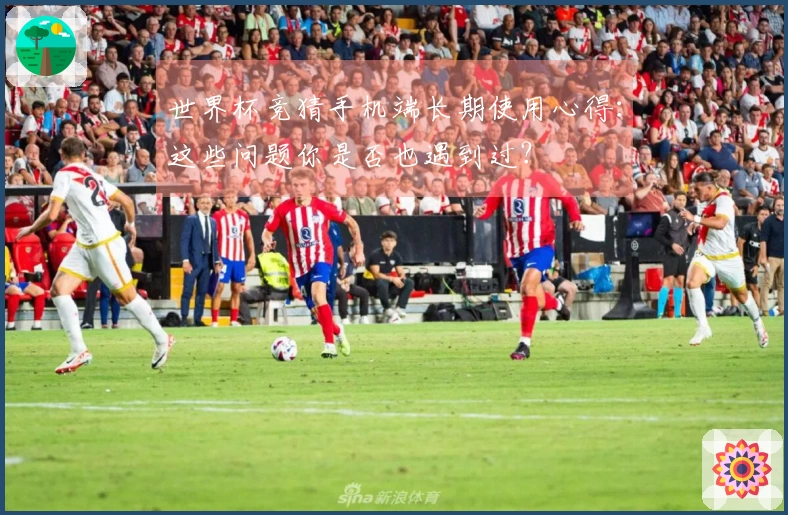 世界杯竞猜手机端长期使用心得：这些问题你是否也遇到过？